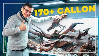 Creating a Huge Planted Aquarium with Driftwood | Part One - Hardscape
