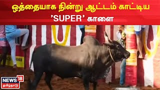 Alanganallur Jallikattu | ஒற்றை ஆளாக நின்று ஆட்டம் காட்டிய காளை | Maatu Pongal | 2023