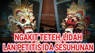 NGAKIT TETEH, LIDAH LAN PETITIS IDA SESUHUNAN || PROSESI NGODAK PETAPAKAN IDA SESUHUNAN