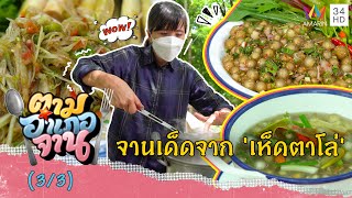 เมนูสุดแซ่บ! จาก 'เห็ดตาโล่' | ตามอำเภอจาน | 9 ก.ค.65 (3/3)