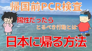 日本帰国前のPCR検査で陽性だったら…せっかくハワイ旅行にきたのに