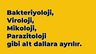 Tıbbi Mikrobiyoloji nedir? Tıbbi Mikrobiyolog kimdir?