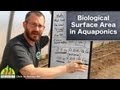 Biological Surface Area in Aquaponics Biological Surface Area in Aquaponics