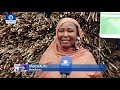 fg ifad flag off 2021 wet season input distribution to farmers