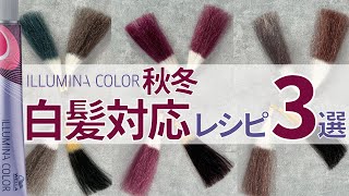 【イルミナカラー】オトナ世代にアプローチできる！秋冬おすすめレシピ