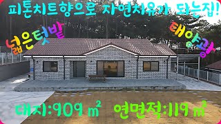 ***물건 번호:331*** 소나무 숲 속 야산 언덕에 위치하여 거주만으로 피톤치트향으로 자연 치유가 되는 시내권 주택!