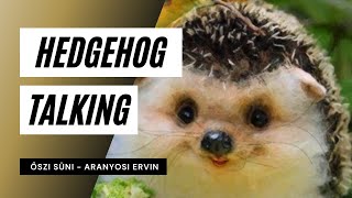 Aranyosi Ervin: Őszi süni / How Hedgehog Talking