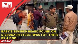 Assam: Baby's severed heard found on Dibrugarh street, was left there by a dog