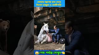 ঘোড়া'টির😱 জন্য ভাল্লুক এগিয়ে গেলেন কোটিপতি কাজে♥️ #facts #shorts #trending #animals