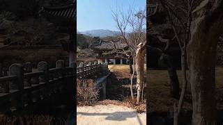 🏔 황악산을 가기 전에 직지사를 먼저 구경해 봅니다 🙏 | 경북 김천시 직지사 평화의 탑 | 황악산 블랙야크 100대명산 | 1일2산 등산여행 |