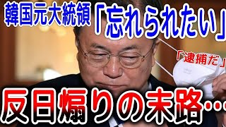 【海外の反応】隠居した裏切り者へ「忘れられたい」と言っていた隣国前大統領→国民は許さない、隣国史上最悪の独裁者の末路が地獄すぎた…【ゆっくり解説】