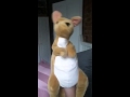 Kangaroo Dancing to Poker Face