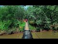 palappilly hanging bridge i പാലപ്പിള്ളിയിലെ തൂക്കുപാലങ്ങൾ i chimmini dam i ചിമ്മിനി ഡാം