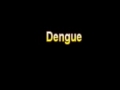 What Is The Definition Of Dengue - Medical Dictionary Free Online