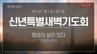 2025년 1월 16일 | 부산명성교회 신년특별새벽기도회