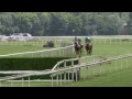 2015.06.21 grosse steeple chase in frauenfeld kemaliste