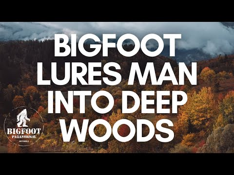 BIGFOOT Lures Man Into The Deep Woods Over 1 Hour SASQUATCH ENCOUNTERS PODCAST
