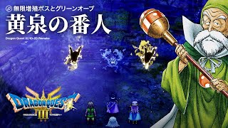 【ドラクエ3】よみのばんにんとテドンの村で戦ってグリーンオーブを入手【ドラゴンクエストIII HD-2D版リメイク】