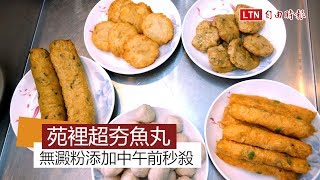 天天吃好料》 苑裡王記魚丸 中午前秒殺美味