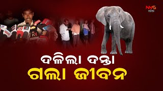 ଦଳିଲା ଦନ୍ତା ଗଲା ଜୀବନ ||ELEPHANT ||ATTACK ||DEATH ||ODISHA ||