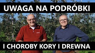 Uwaga na podróbki i choroby kory i drewna