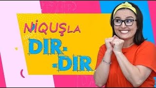 Qurban Qurbanovu hüquq müdafiəçisi etdilər | Dır-Dır