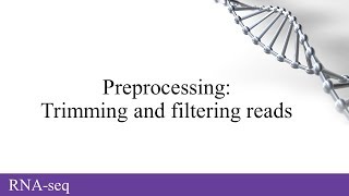 Preprocessing: Trimming and filtering reads