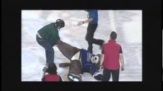 Marty the Marmot gets Attacked