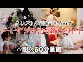 【汚部屋】友達が数億年ぶりに来るので散らかったゴミ部屋を片付けたい【作業用動画】