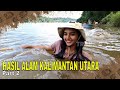 HASIL ALAM KALIMANTAN UTARA | JEJAK PETUALANG (30/01/24) Part 2