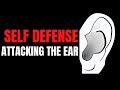 Attacking The Ear - Target Focus Training - Tim Larkin - Awareness - Self Protection - Self Defense