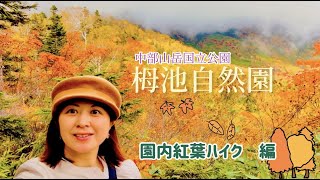 【紅葉🍁2022】Vo.2 北アルプス白馬連山と美しい紅葉に感動のハイク⛰🍁🍂栂池自然園内をぐるっと一周