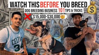 DOG BREEDING BUSINESS 101 | Watch This before You BREED!! ❌MUST DO!! Tips & Tricks 2022 “FRENCHIE”🤯