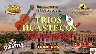 ✅Mix Tríos Huastecos Huapangos 2022🔥Halcon Huasteco,Imperiales De La Sierra,Huapangueros Diferentes