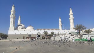 Quba Mosque (Outside view) Madinah Munawrah Saudi Arabia.   #quba   #mosque   #saudiarabia   #madina