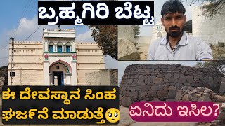 ಬ್ರಹ್ಮಗಿರಿ ಬೆಟ್ಟ|ದೇವಸ್ಥಾನದಿಂದ ಸಿಂಹ ಘಜ೯ನೆ ಬರುತ್ತೆ|ಅಶೋಕ ಸಿದ್ದಾಪುರ|#like