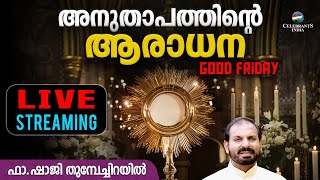 അനുതാപത്തിന്റെ  ദിവ്യകാരുണ്യ ആരാധന  | Fr Shaji Thumpechirayil