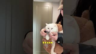 冬天可以带小猫咪出门玩啦 #萌宠好物 #猫包