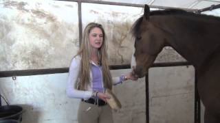 HorseJunkimentary Episode 4 Lauren Mahoney