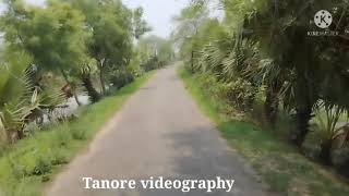 Tanore