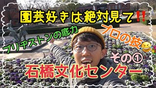 【園芸好き必見】前編🌼ブリヂストンの恩恵‼️お花の楽園を園芸看護師が紹介💐💐【散歩】