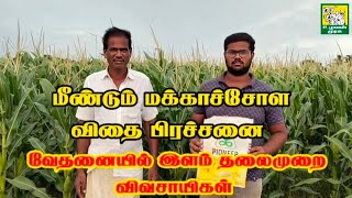 மீண்டும் போலி மக்காச்சோள விதை பிரச்சனை -வேதனையில் இளம் தலைமுறை விவசாயிகள்