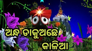 ଅନ୍ଧ ଡାକୁଅଛେ କାଳିଆ କାଳିଆ || ଅନ୍ଧ dakuachhe kalia kalia ||  jaganatha bhajana 🙏🙏