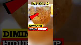 Ketika Ikan Kecil Yang Masih Hidup Dijadikan Minuman Oleh Orang Jepang 😱