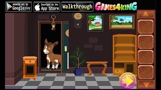 G4K Cute Foal Rescue walkthrough Games4King.