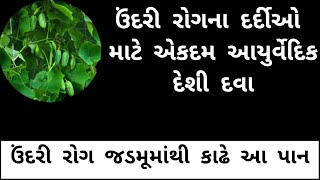 ઉંદરી રોગના દર્દીઓ માટે એકદમ આયુર્વેદિક દેશી દવા..[૧૧૦% અસરકારક દવા] Ayurvedic Gujrat !