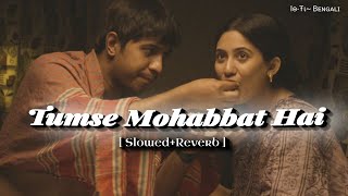 Tumse Mohabbat Hai Han🦋Lofi~Reverb💫 || Latest Hindi Song 2023