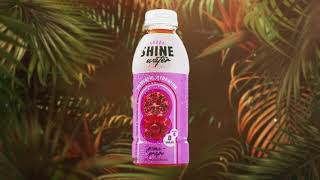 SHINE WATER - Variety Pack - Commercial