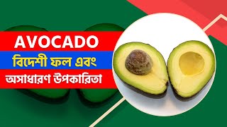 ভিনদেশী ফল অ্যাভোক্যাডোর উপকারিতা | দৈনিক  অ্যাভোক্যাডো খাওয়ার গুণ | Avocado Benefits | Healthinfobd