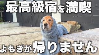 【淡路島】愛犬と泊まれる高級宿がヤバすぎた・・・w